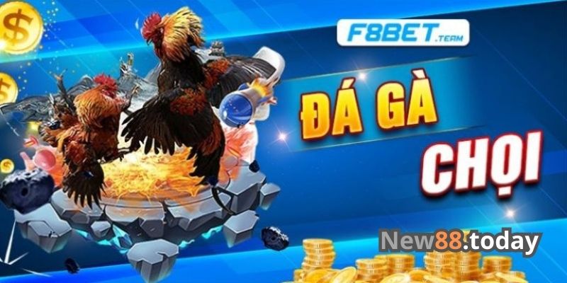 Đôi nét giới thiệu về sân chơi đá gà F8bet Đôi nét giới thiệu về sân chơi đá gà F8bet