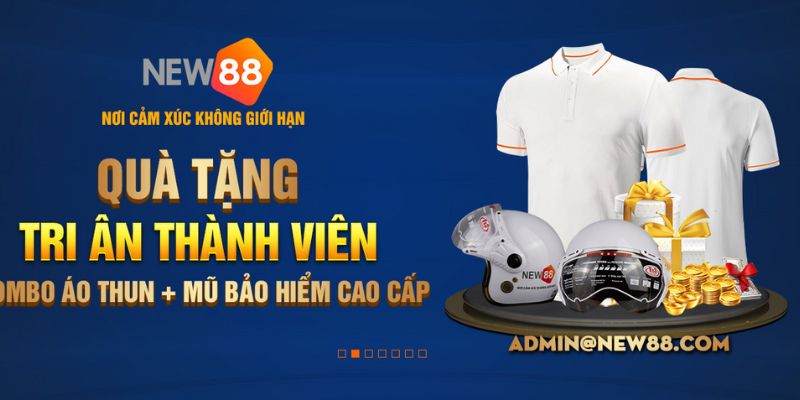 Thông tin về NEW88 
